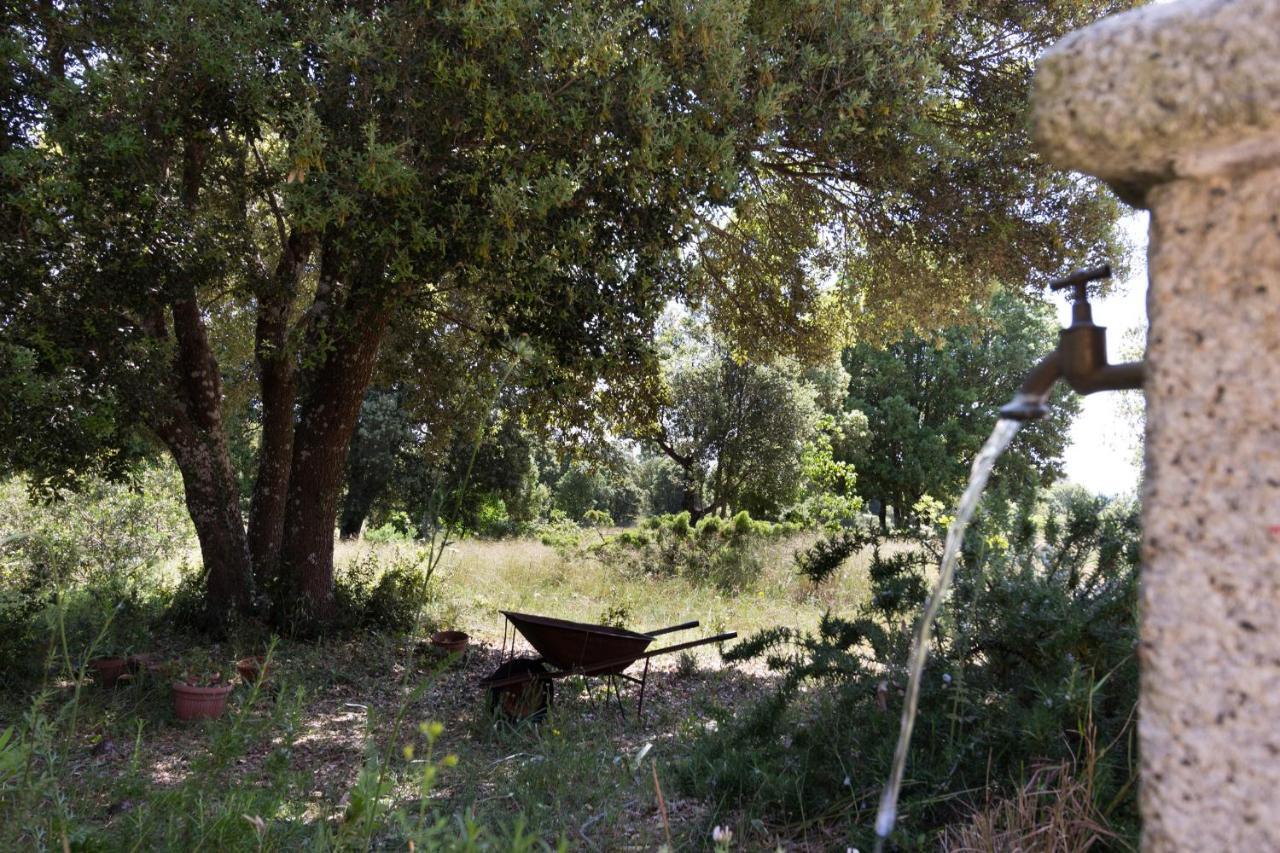 Su Pitiolu - Casa Vacanze Làconi Exterior photo