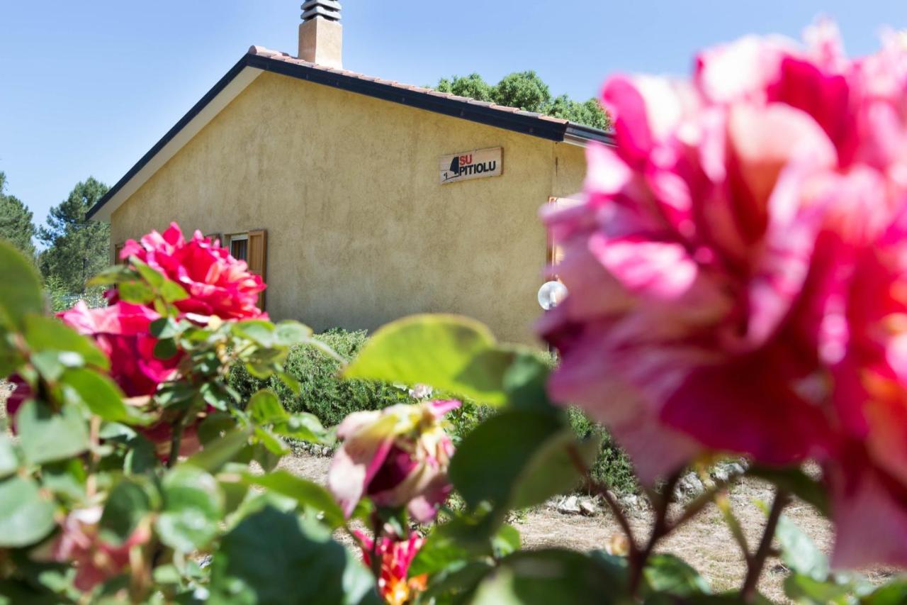 Su Pitiolu - Casa Vacanze Làconi Exterior photo